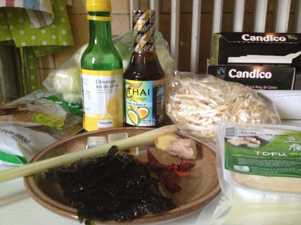 Cast of characters. You can switch this soup up any way you like. Lots of different veggies work and of course meat can replace the tofu. But lemon grass and ginger are essential. (Ignore the Candico)