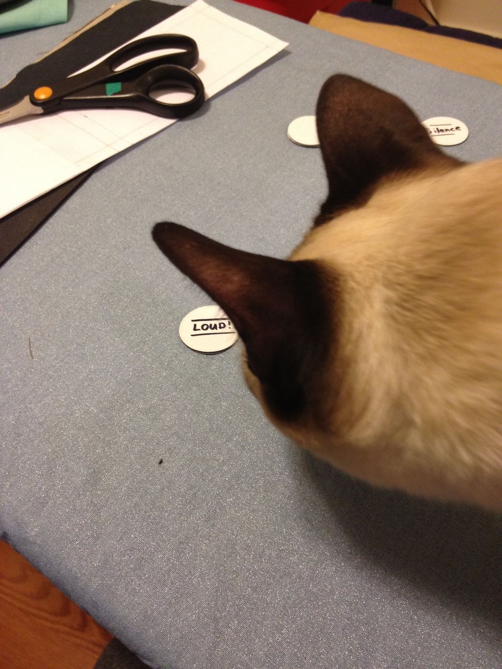 Cat! Get out of my tutorial.