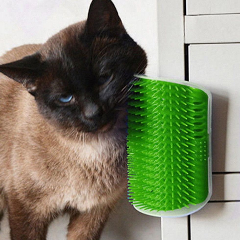Cat Massage Comb Self Groomer