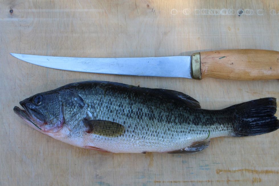 Catch a fish. Get a really sharp fillet knife.