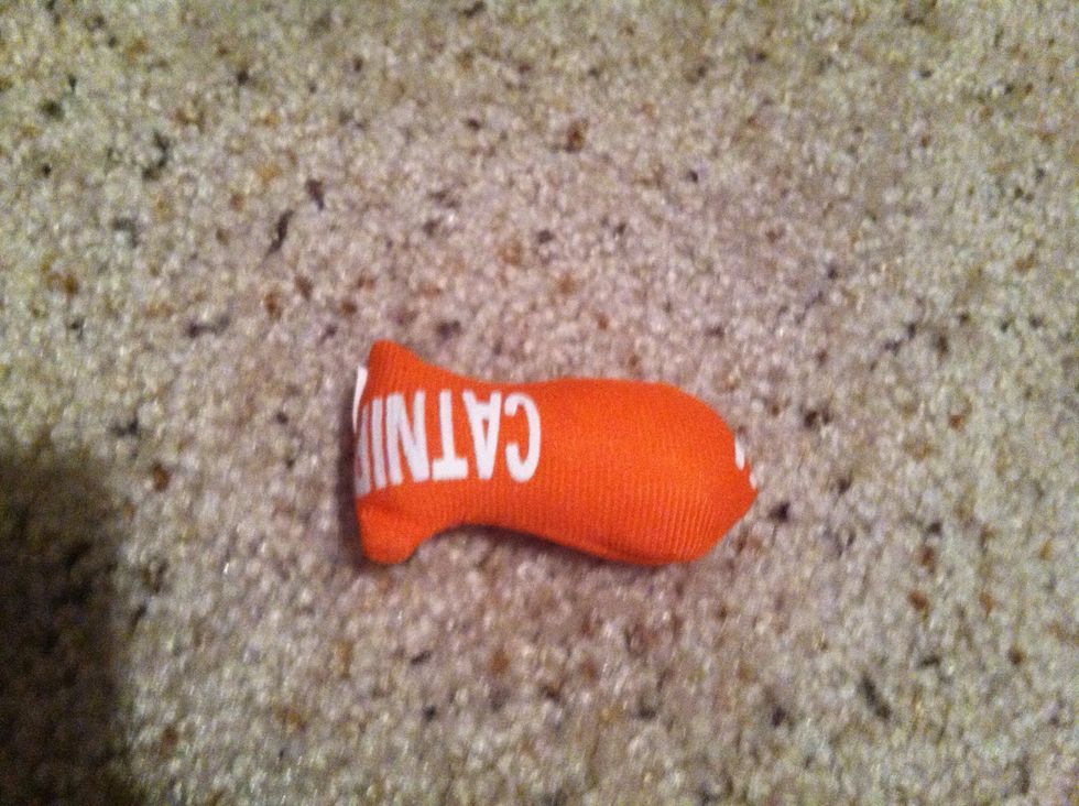 CATNIP! What else is there to say?