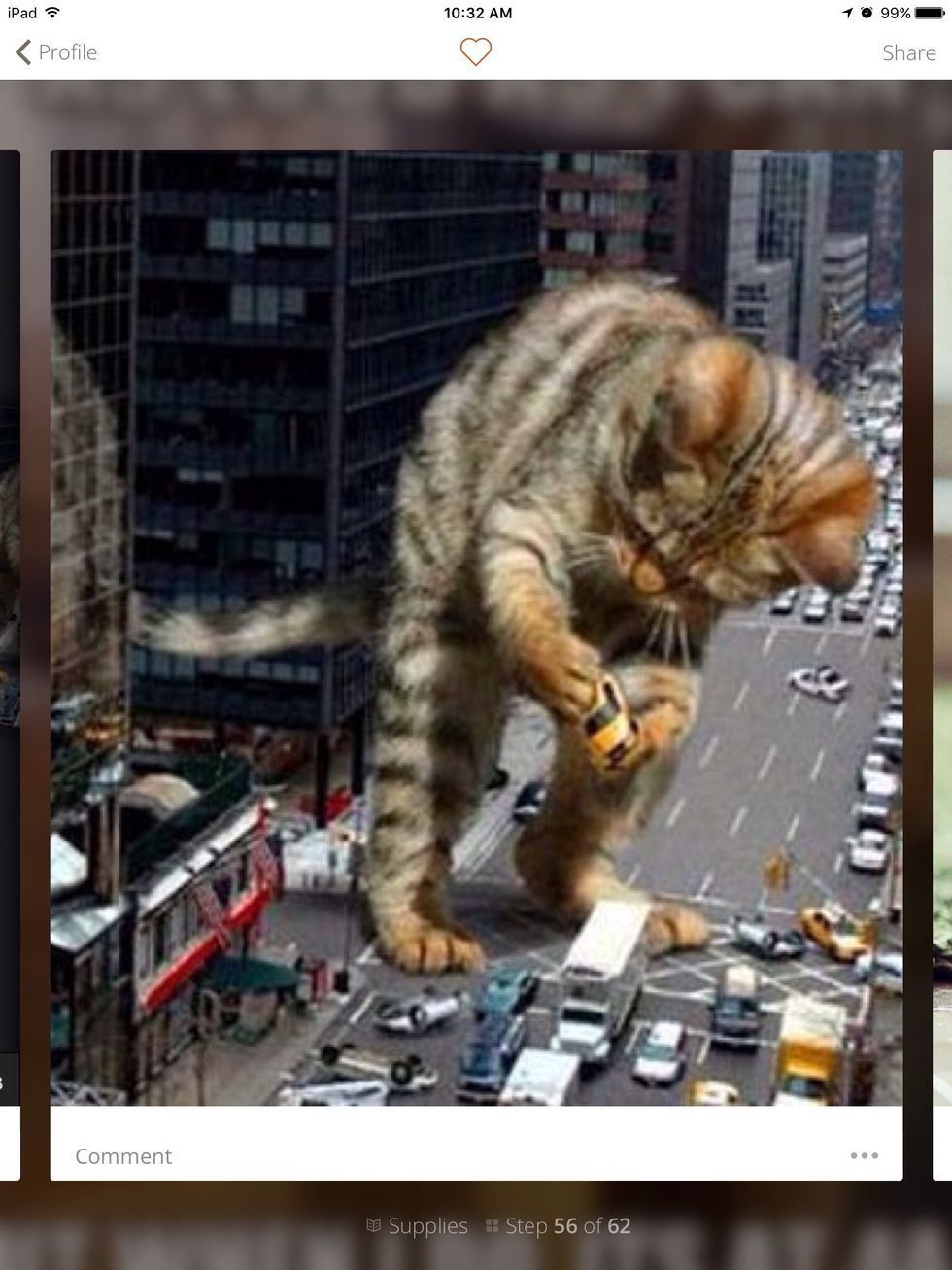 Catzilla!