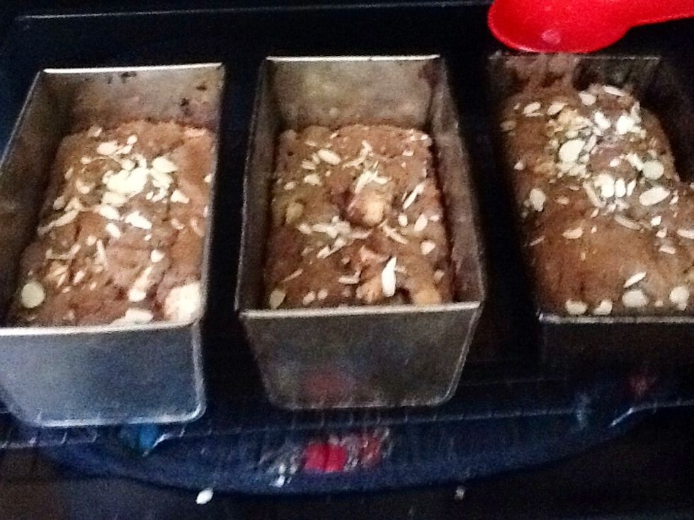 Check bread at the one hour mark, if your oven runs hot this is when you take them out. For most though it needs that extra twenty minutes but definitely be close and watch.