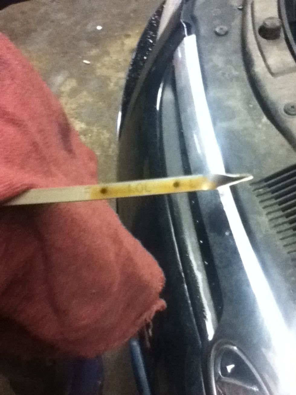 check oil level