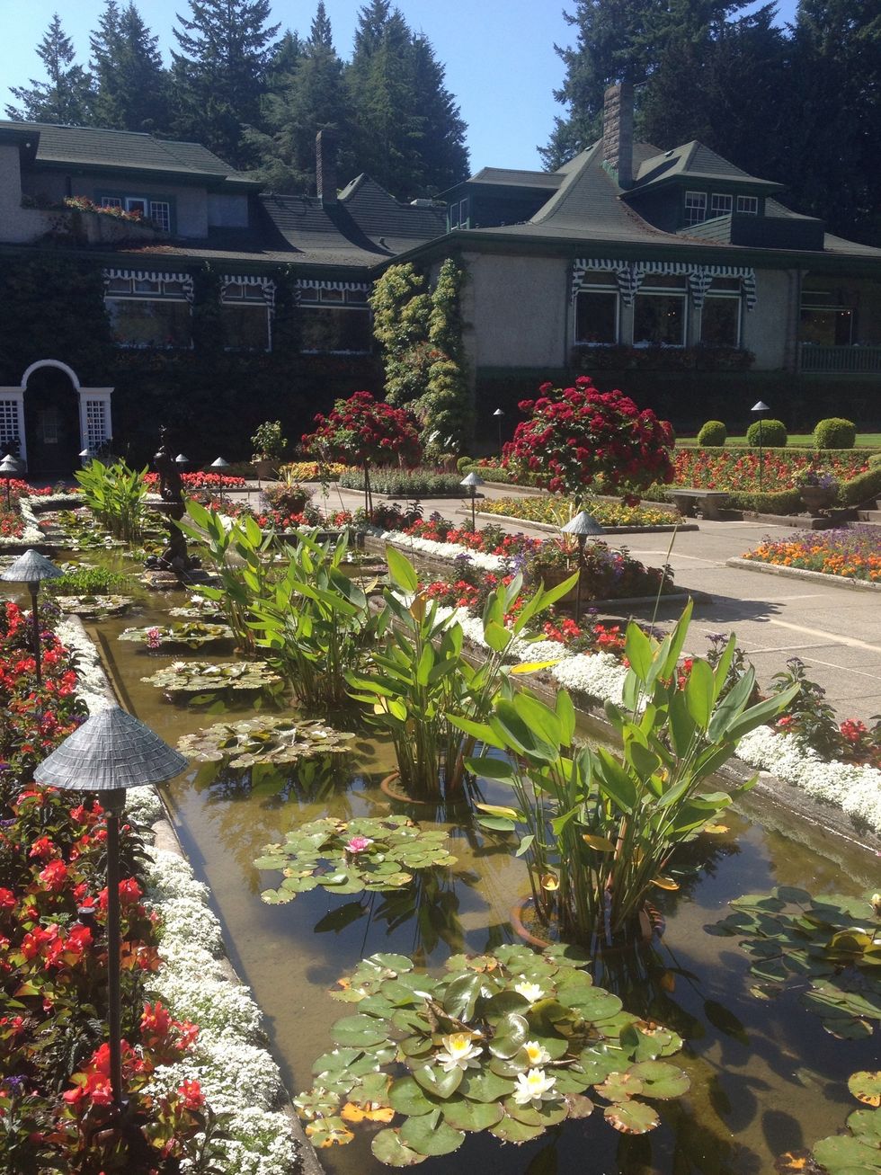 Check out the beautiful Butchart Gardens. They are over 100 years old and so beautiful. We took a bus tour to the garden to learn all about its history.