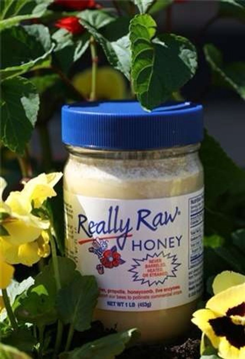 Check out your local farmers market, farm stand or anywhere you might find local honey and bee products.  Local be products will contain  pollen of  the plants that may be causing issues.