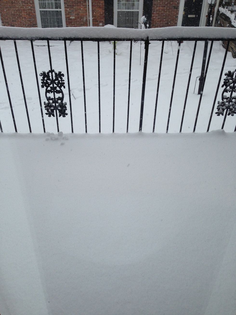 Check snow totals...ended up with 12in. And it's supposed to Be spring.