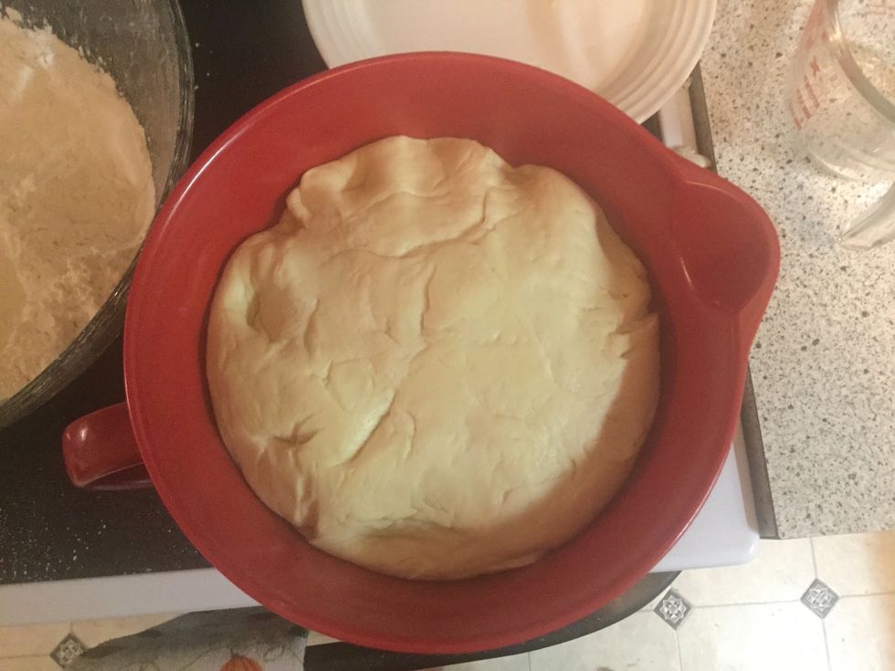 Check to be sure your dough has risen before going to the next step.