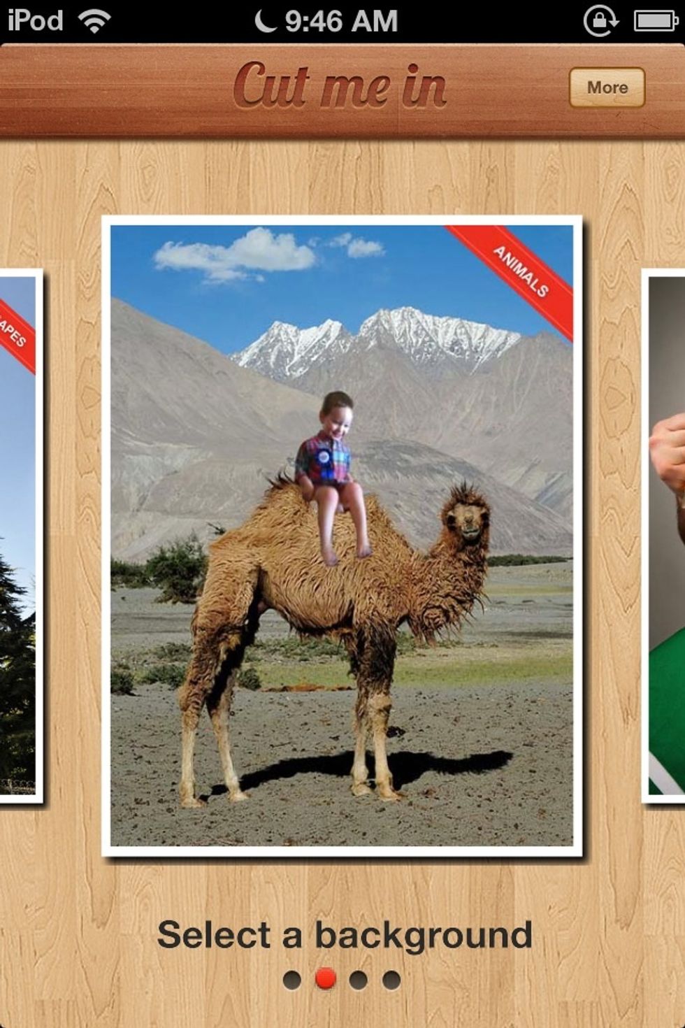 Choose a category. Humor and all the others cost money so all you can have is landscapes or animals. If you really want the other categories, you have to pay money. Today I chose animals.