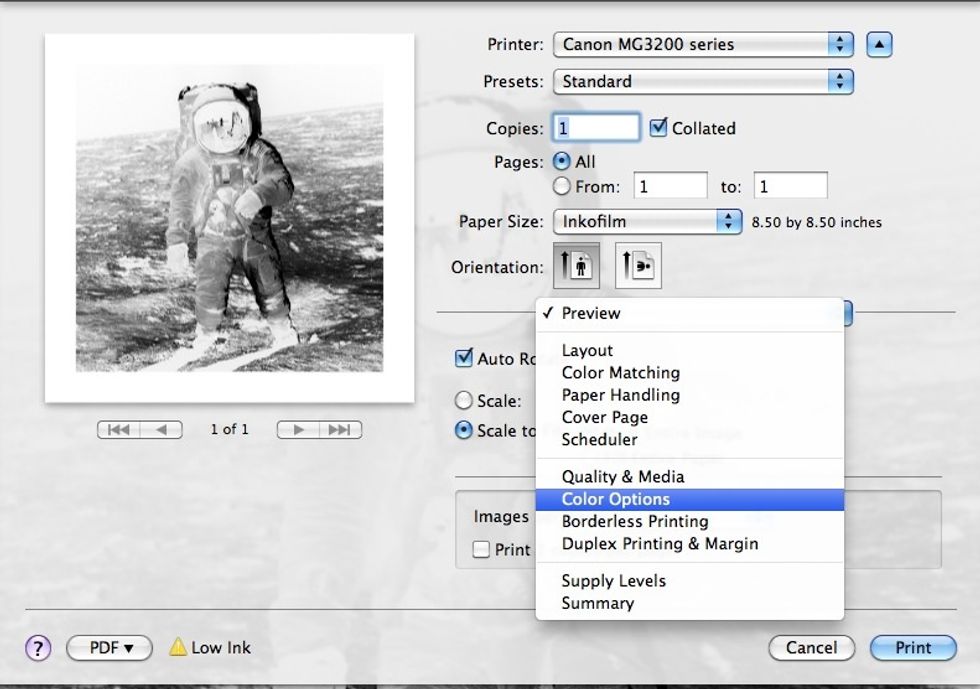 Choose "Color Options" under the "Preview" pulldown menu.