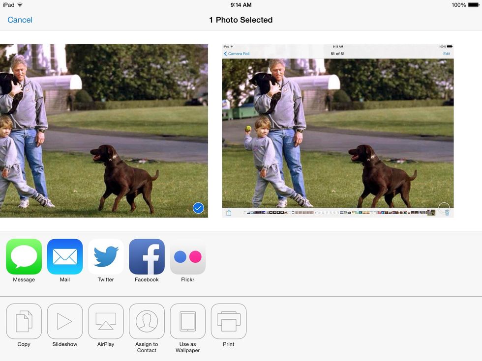 Choose the email option from the share menu. Once the email window opens, type the email address of the recipient.