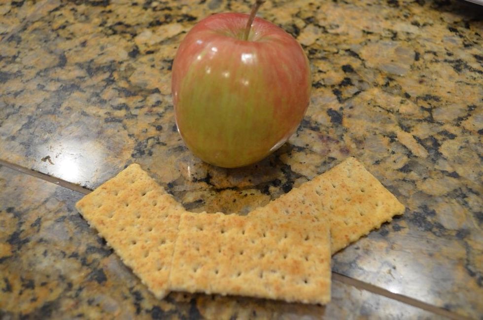 Choose the food you want to test. I chose crackers and apple pieces to see if there is a difference between dry, bumpy surfaces and moist, smooth surfaces.
