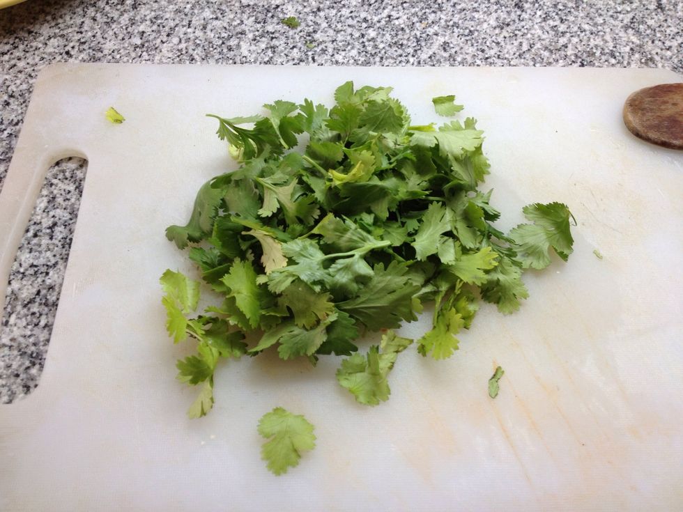 choose the leaves of the coriander