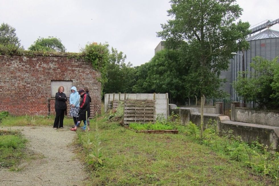 Choosing the site in Castlebridge, Co. Wexford