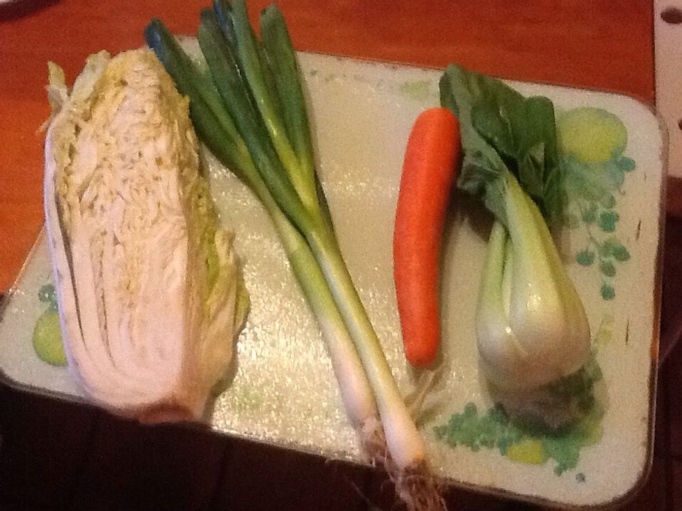 Chop 1/8 of a Chinese cabbage, 2 spring onions, 1 carrot and a bunch of pak choy into edible bite-sized pieces