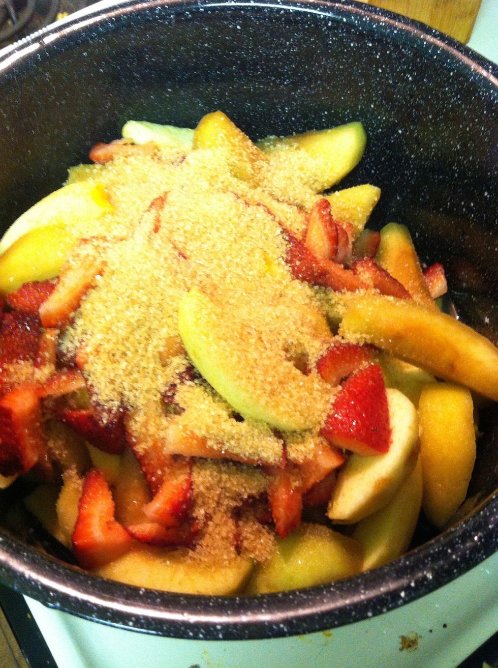 Chop it all up! I used an apple corer/slicer. I did peel the apples too. Some of my apples had already been soaking in the water/lemon mix. Thats not necessary, but it had kept them from turning brown