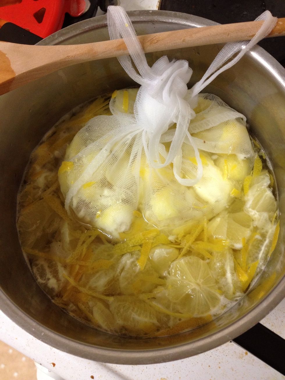Chop lemons. Remove as much white pith as possible and keep separate. Place pith and pips into netting/muslin/jam bag. Place flesh, juice and shredded zest into pan with water.