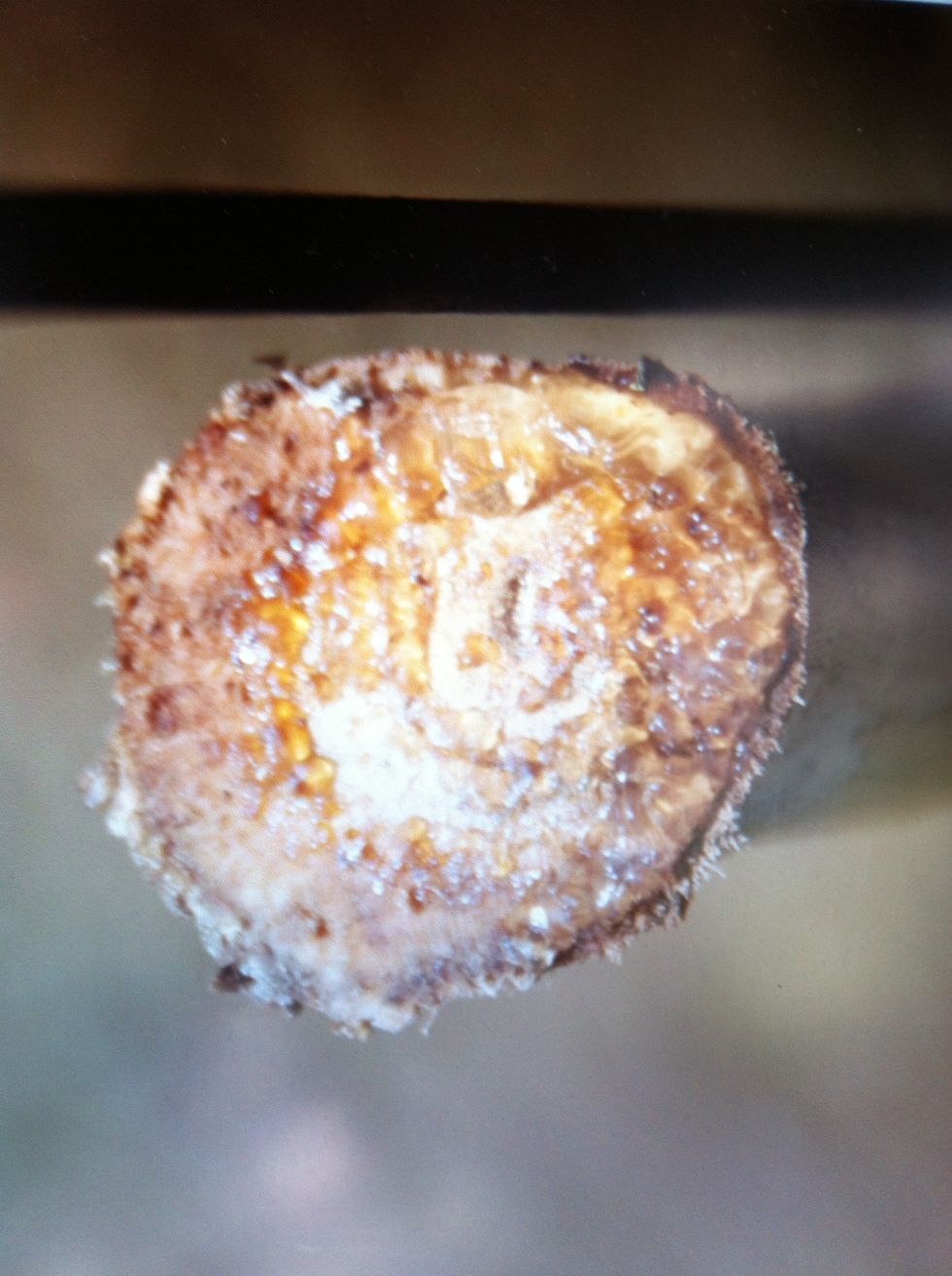 Chop off the merlot trunk in winter