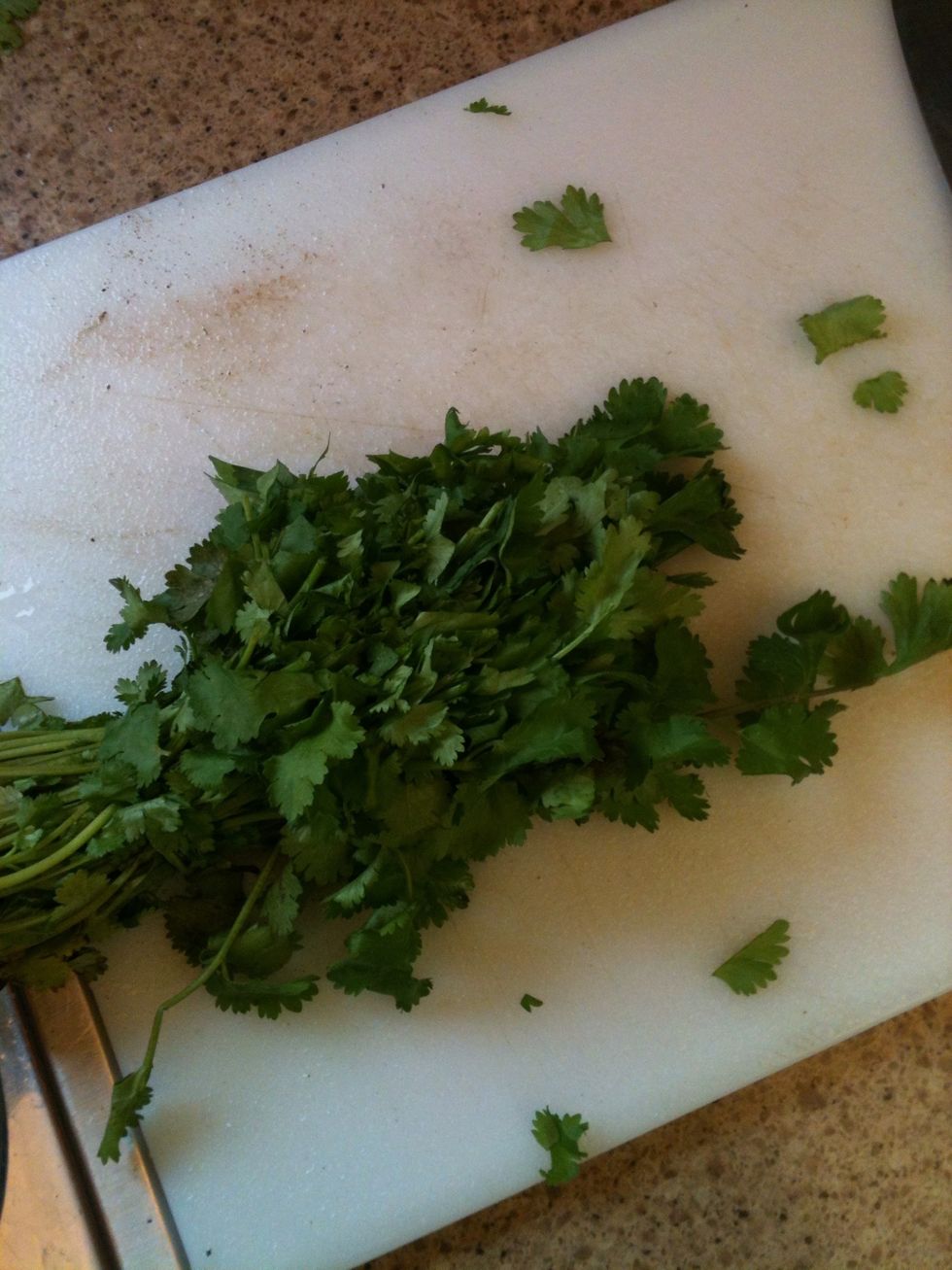 Chop some cilantro and add that to the sink.