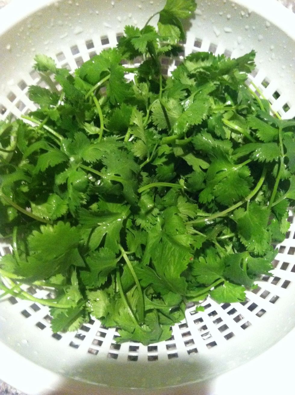 Chop the stems off your cilantro bundle and rinse.