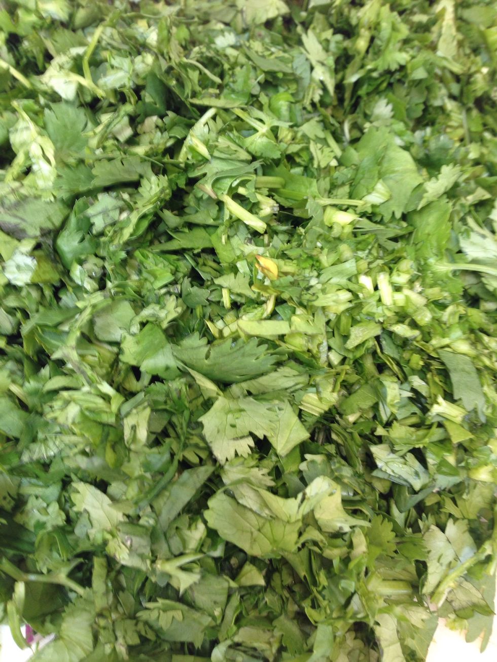 Chopped cilantro