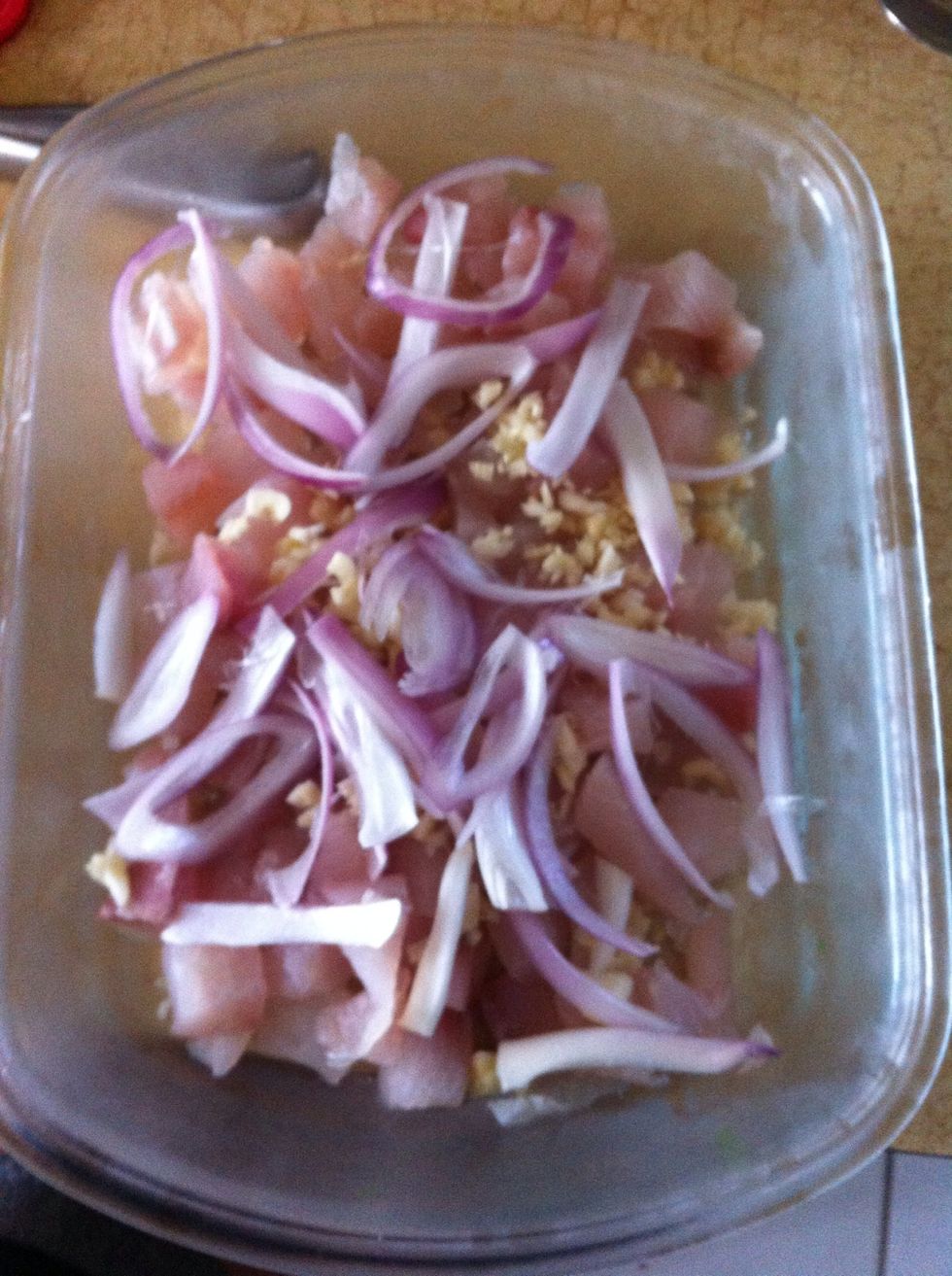 Chopped/cubes raw fish, finely chopped garlic, and sliced onions