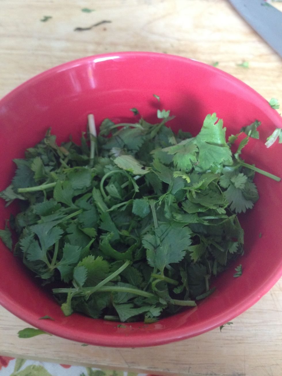 Cilantro is ready to go.