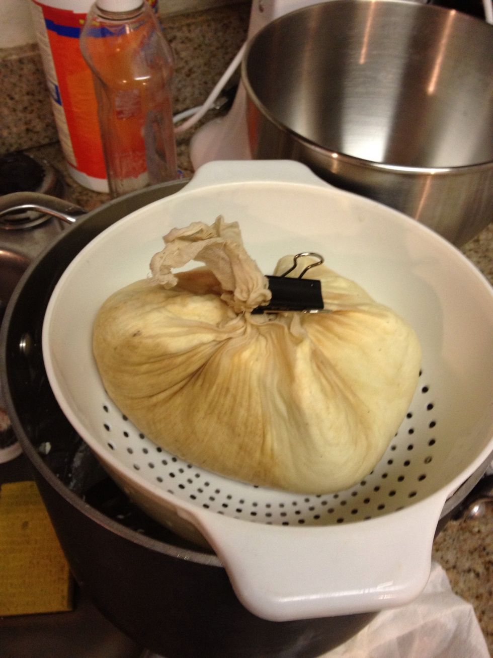 Cinch up the cheesecloth and lightly squeeze out whey. Hang up bag to drain. Save the whey for brining, making ricotta, mixed w/ dog food, or watering on plants.