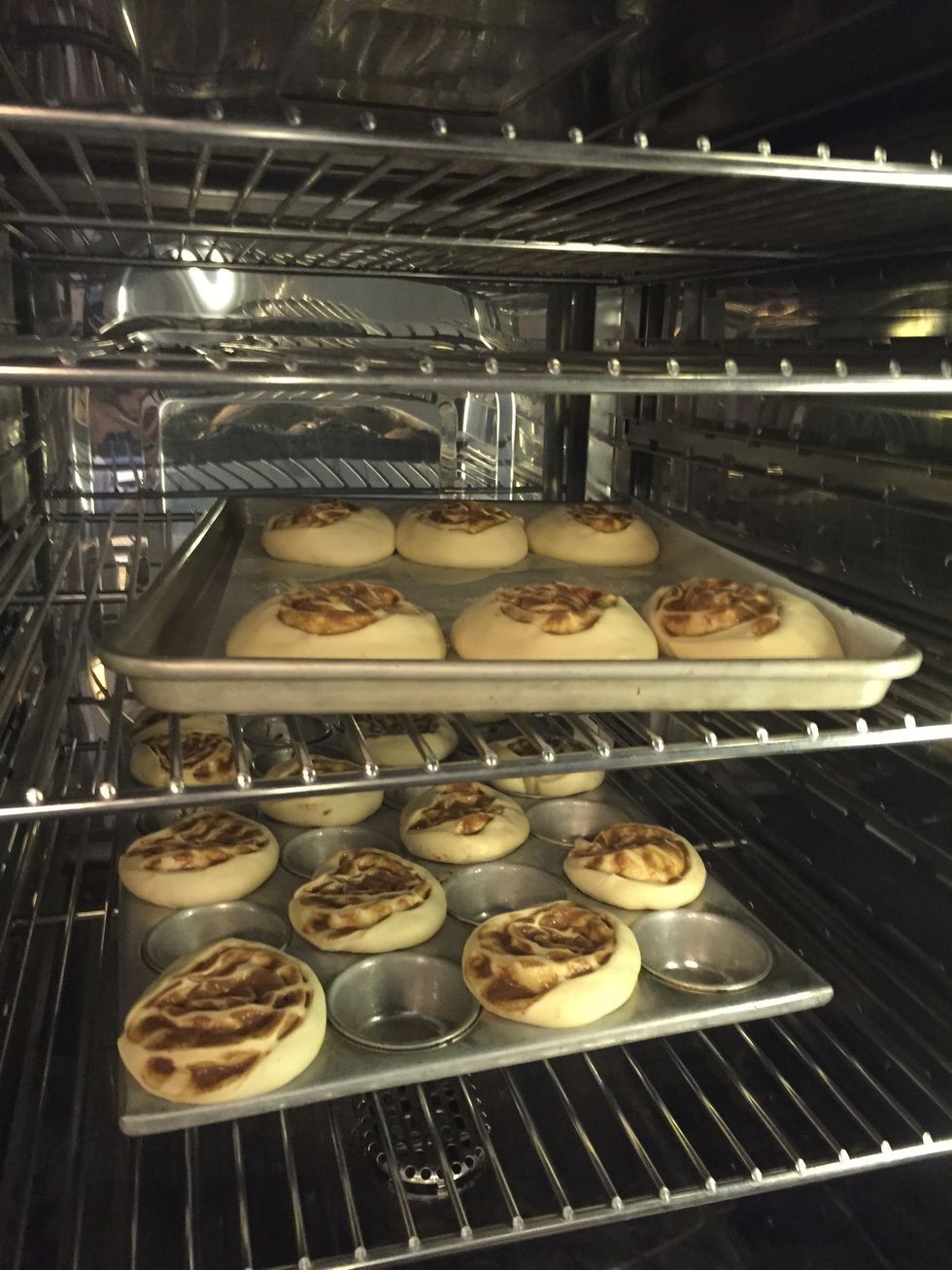 Cinnamon Rolls proofed