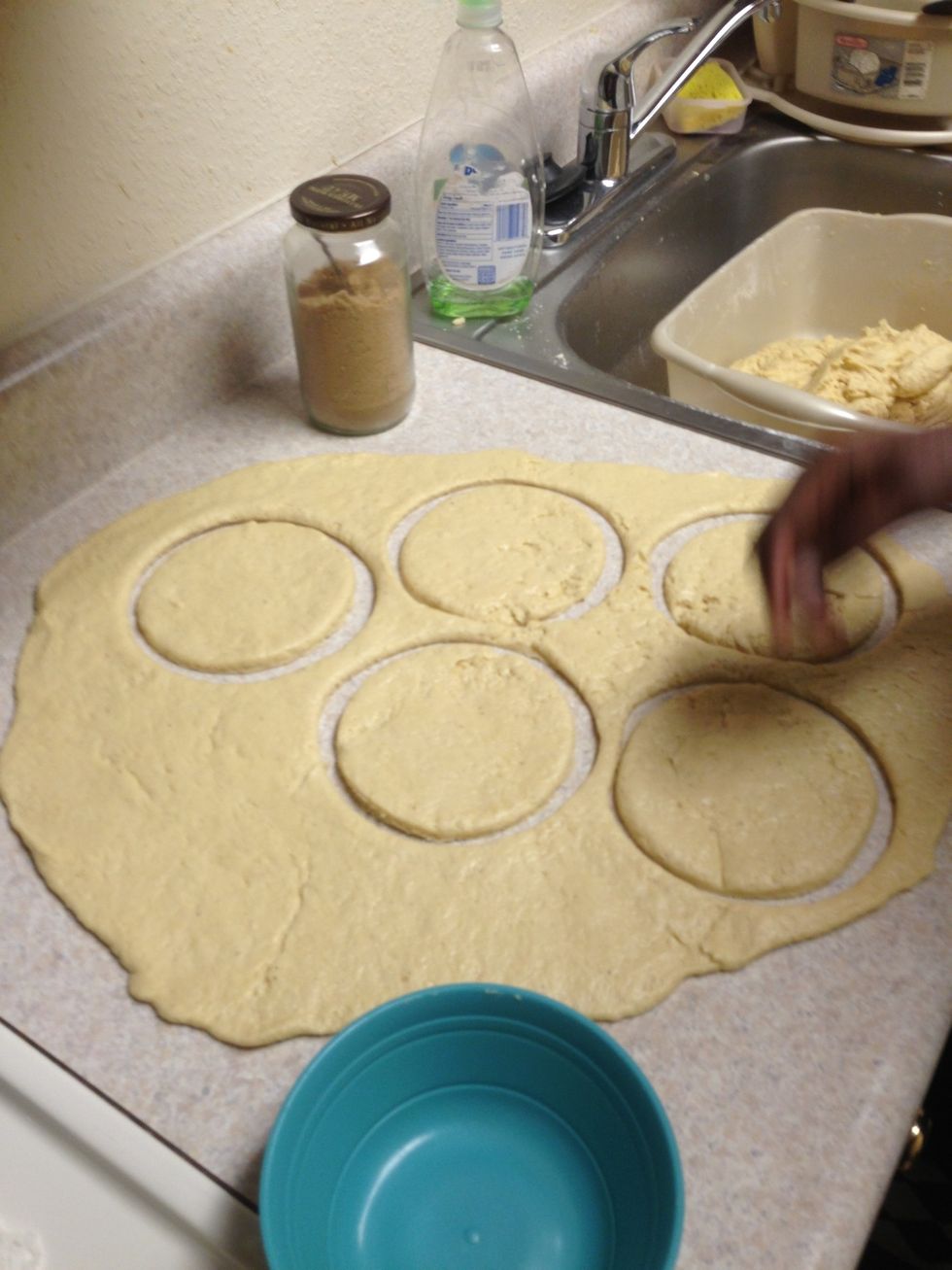 Circle should look like this