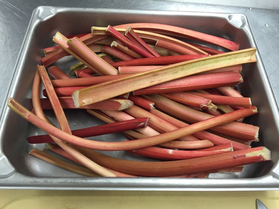 Clean and trim rhubarb stalks.