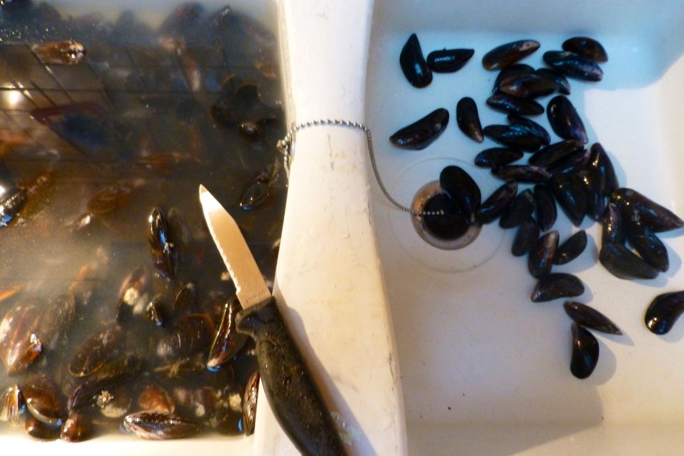 Clean mussels with a knife.