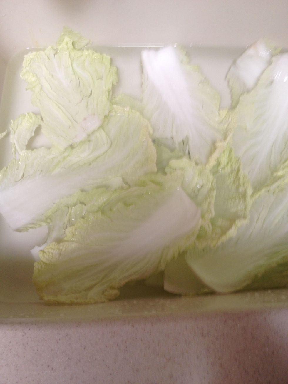 Clean napa cabbage