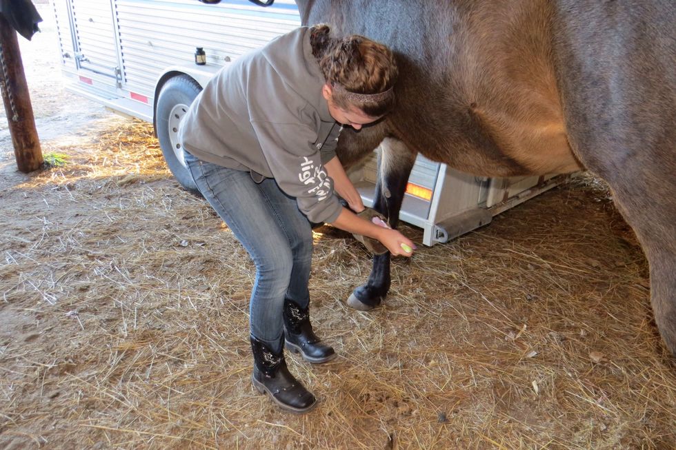 Clean out the hooves to make sure there aren't any rocks or pieces of metal that could injure your horse. Start at the heel and scoop out towards the toe.