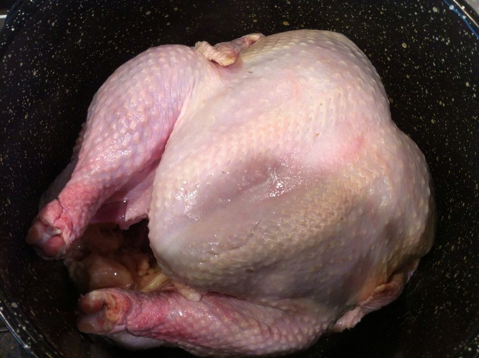 Clean turkey and remove giblets.