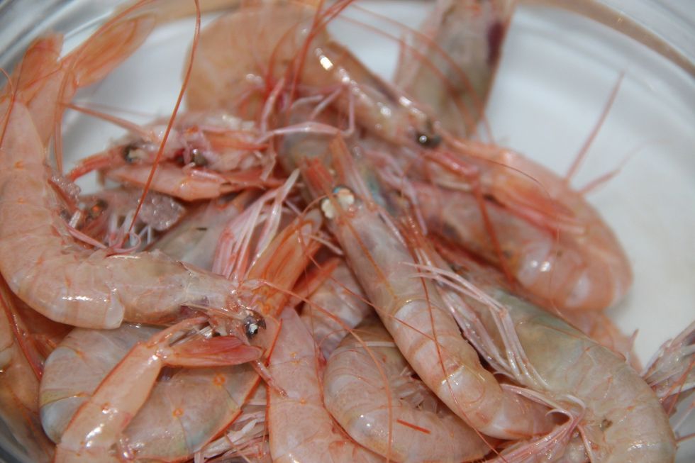 Clean your shrimps