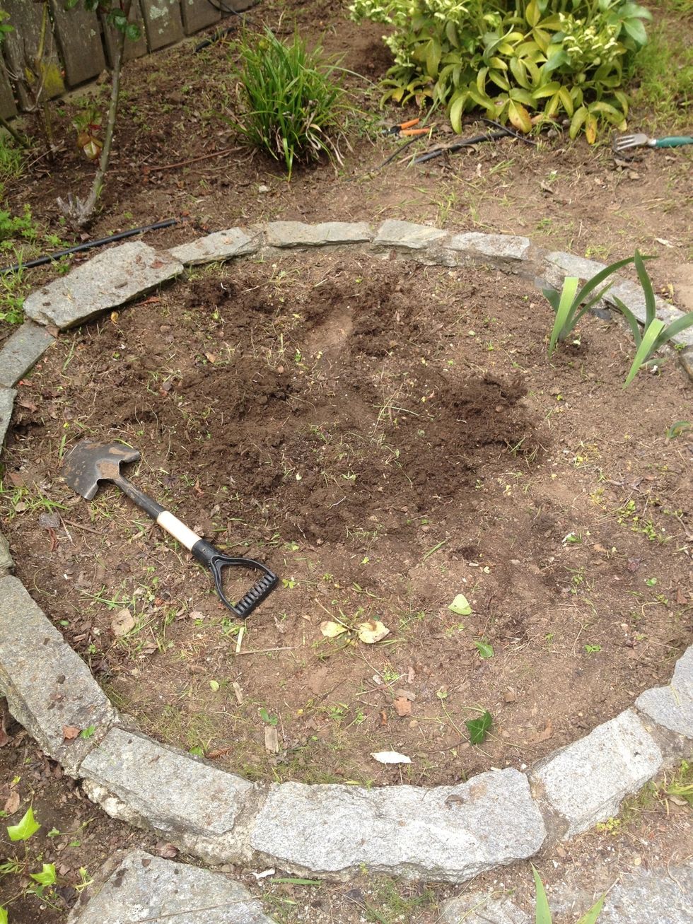 Clear away any plants you wish to remove.