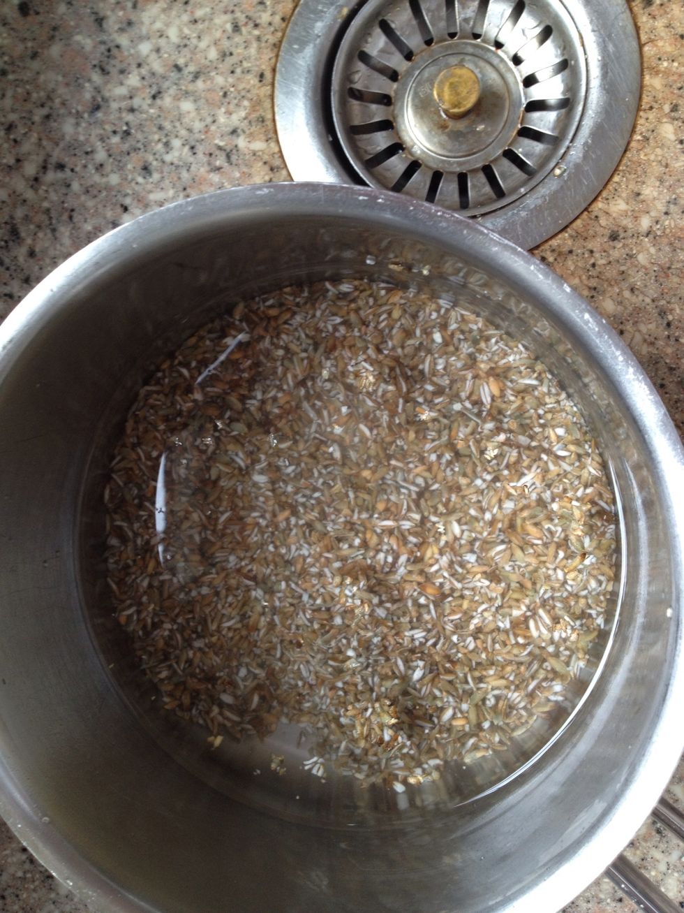 Clear water. Add salt and boil for 20 min.