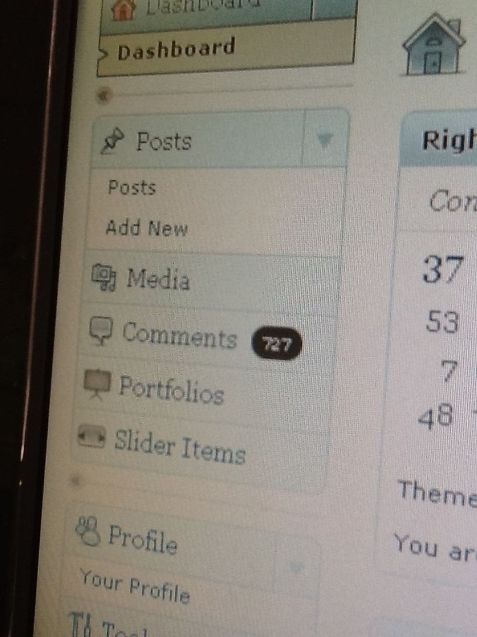 Click "add new" under Posts
