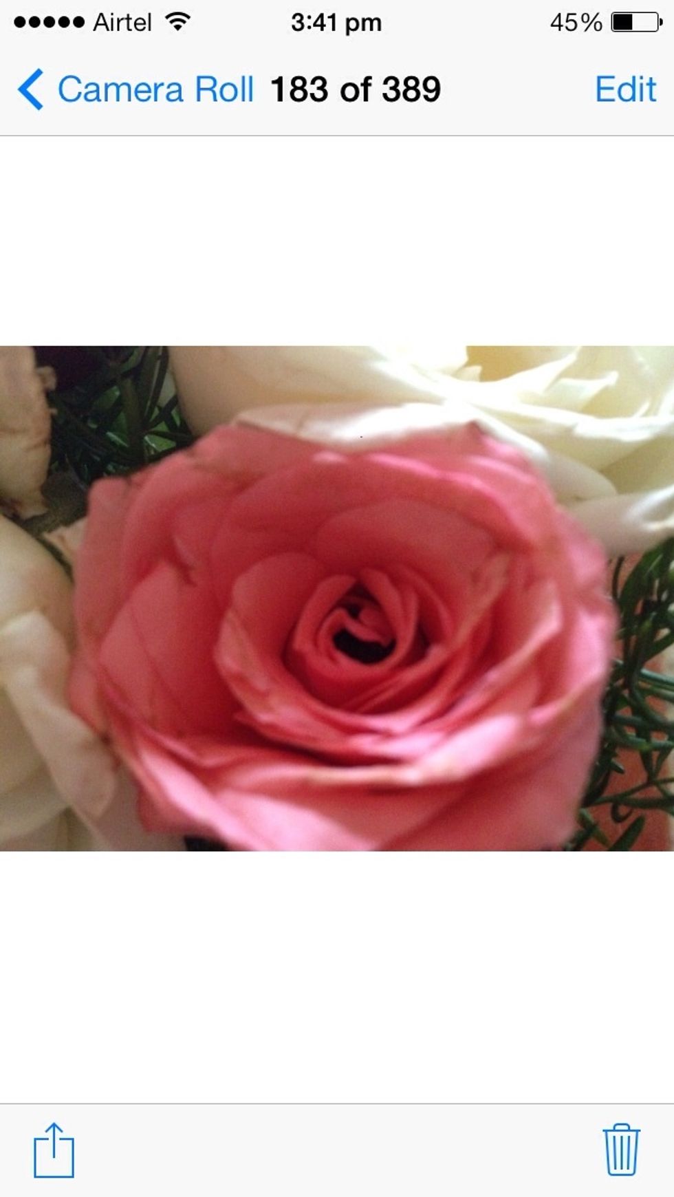 Click on a picture \u27a1\ufe0f