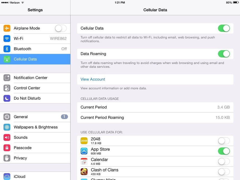 Click on Cellular Data.