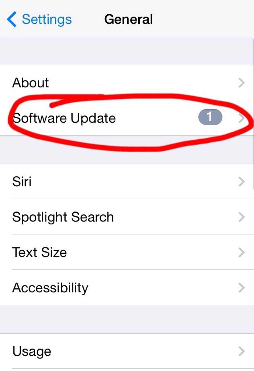 Click on 'Software Update'