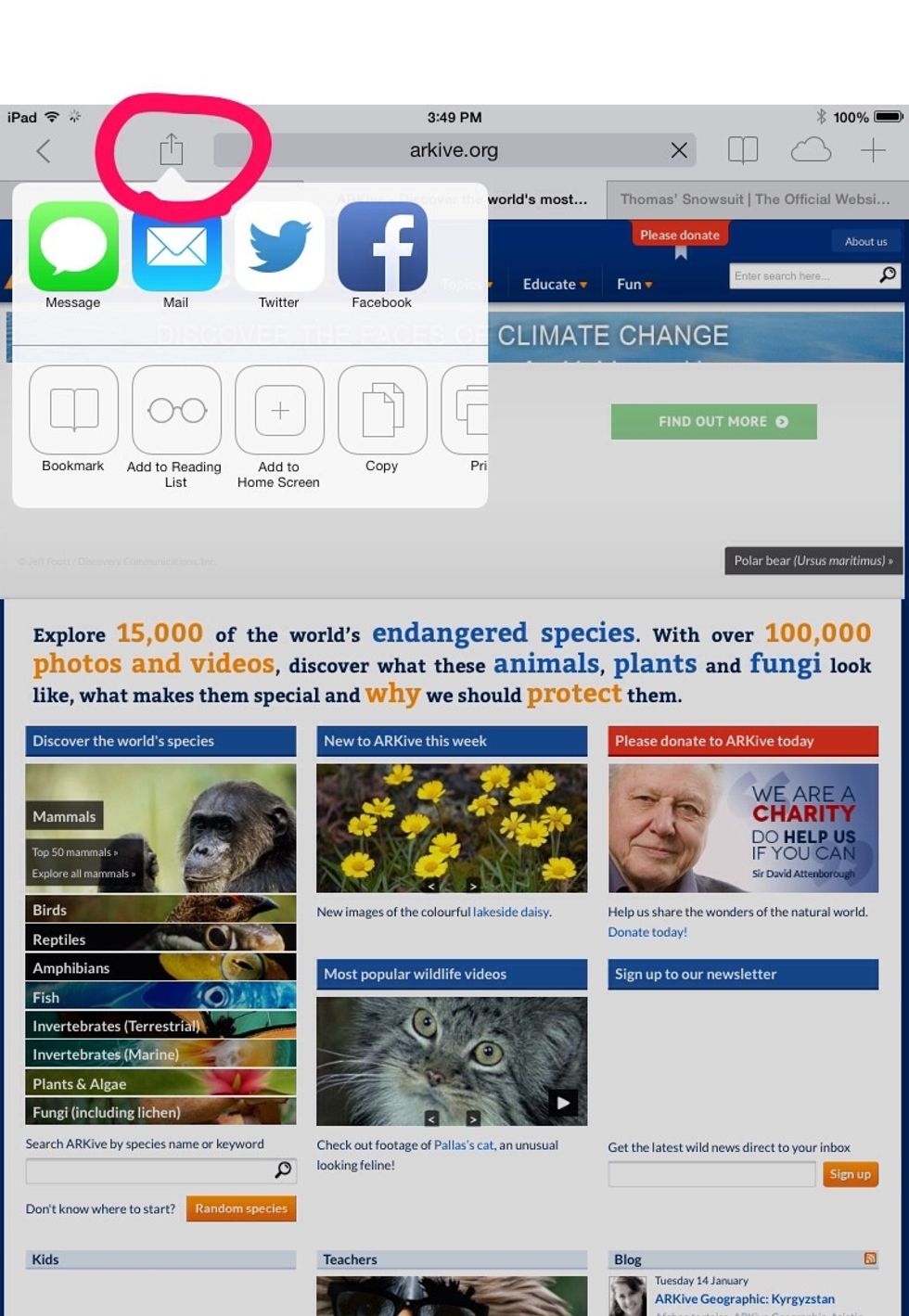 Click on the button that is to the left of the URL.