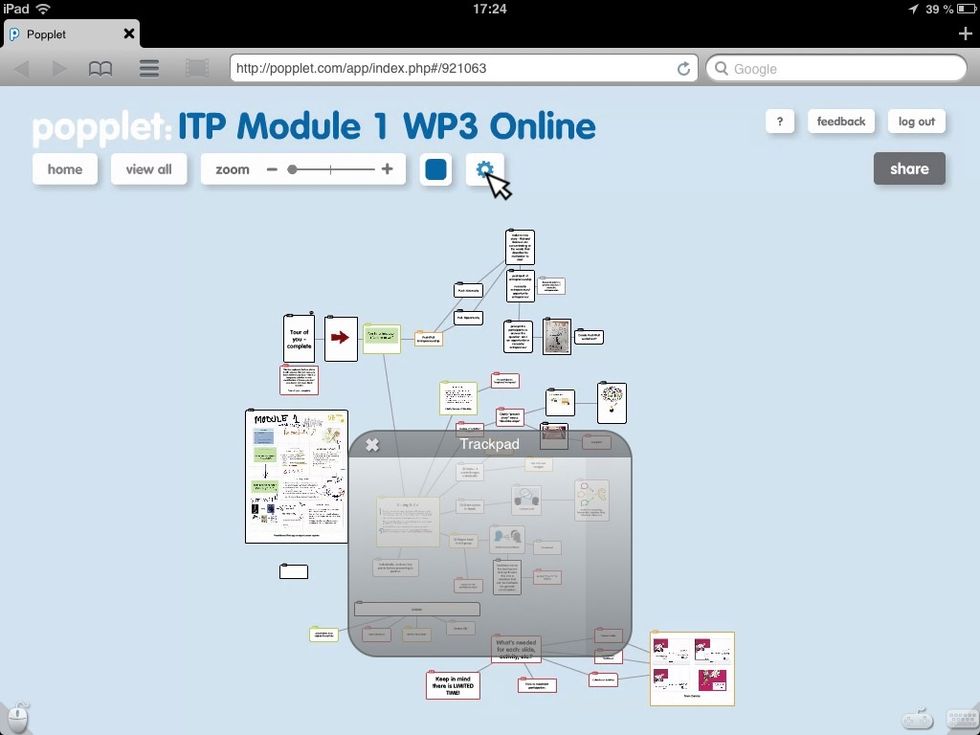 Click on the gear cog (settings) symbol. Note that this function is not available on the native iPad app. You must use the web version of Popplet (www.popplet.com) on a computer or flash-enabled iPad.