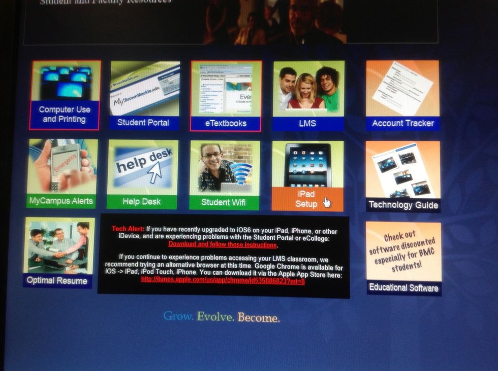 Click on the "iPad Setup" box.