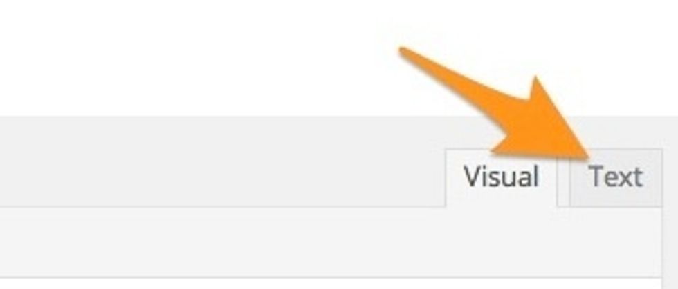 Click on the Text tab to switch to the HTML editor.