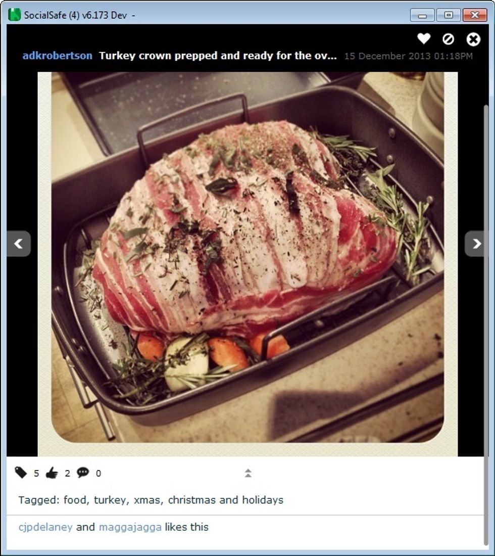 Clicking on the images will reveal all of the comments, tags and likes for each photo. Everything in SocialSafe is searchable, so you could use the search bar to find all photos with a certain tag.