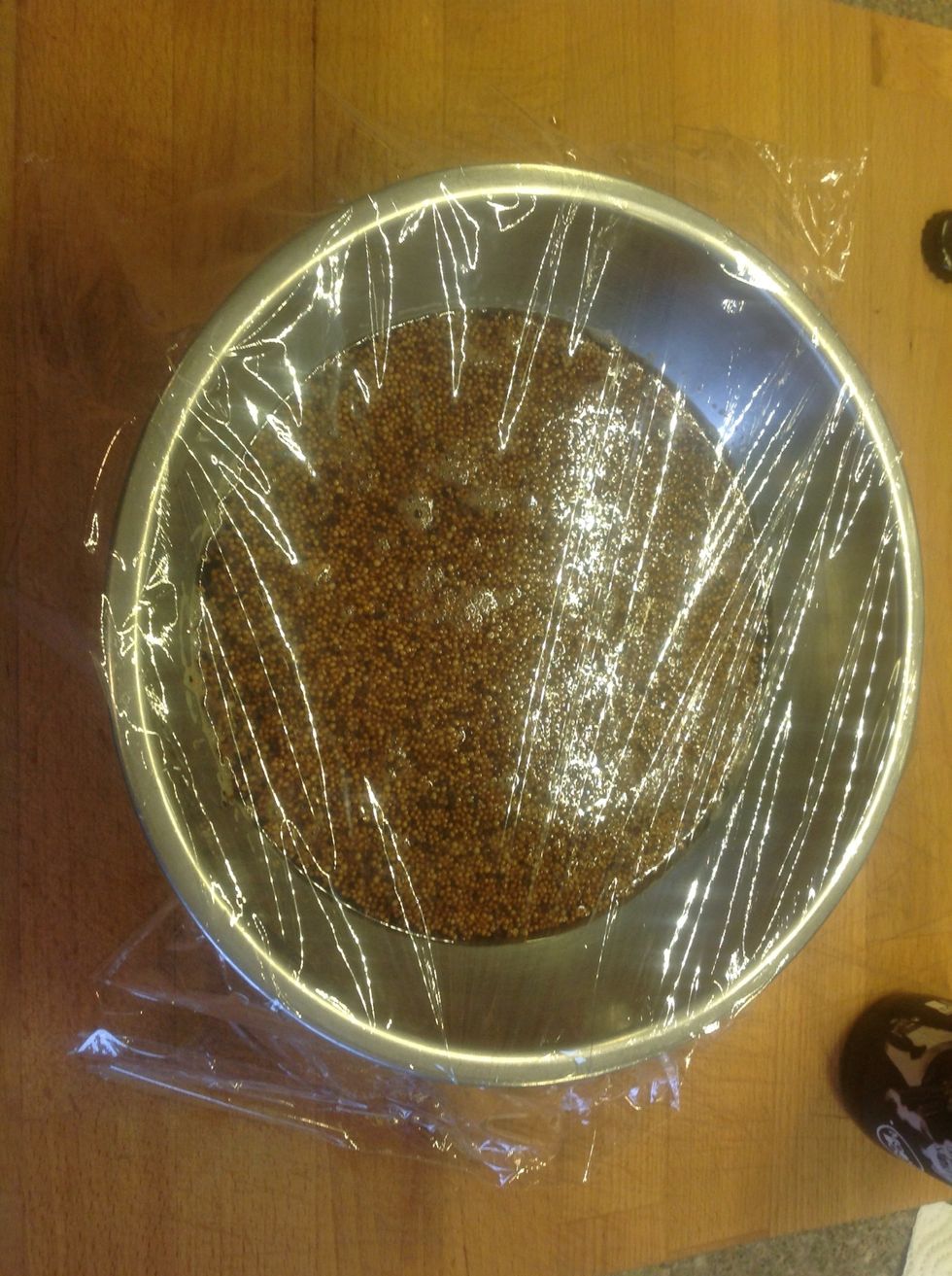Cling film and leave overnight or a couple of days, the longer you leave them the spicier they become