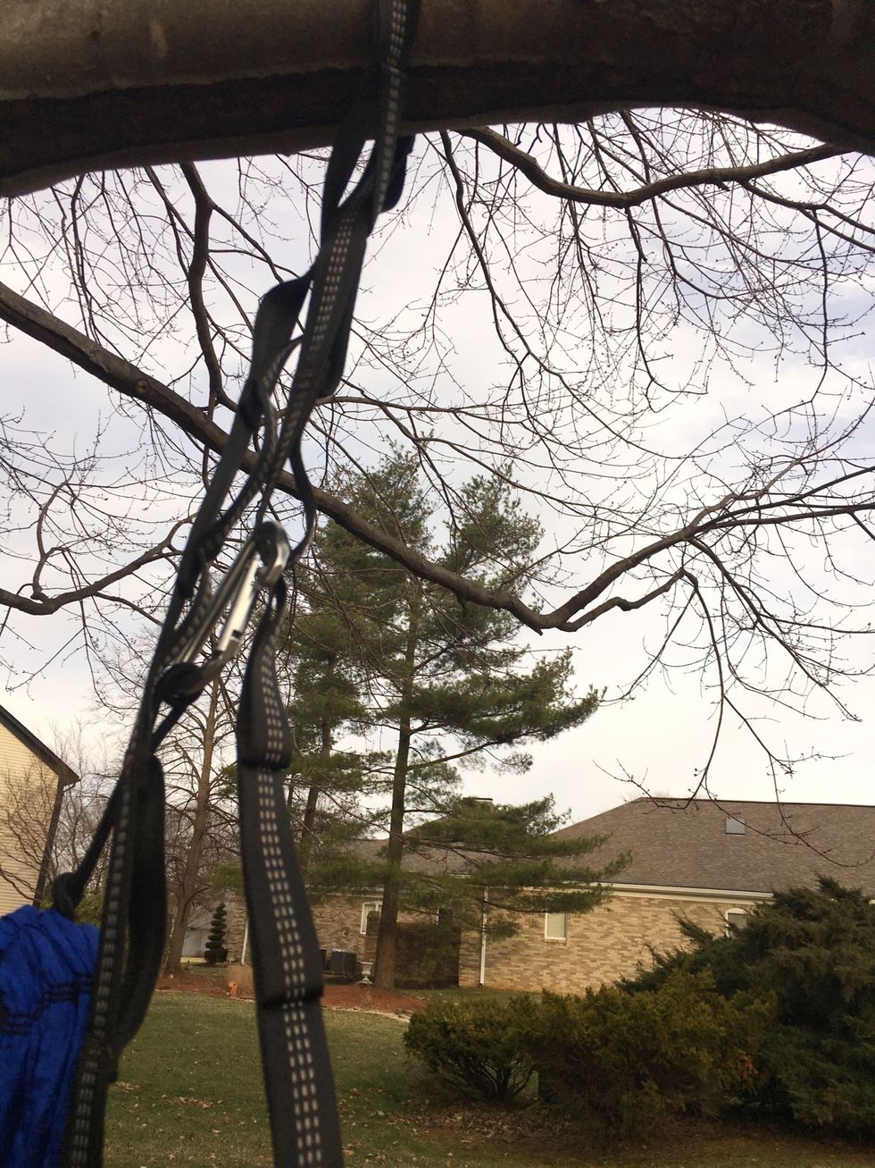 Clip the other side of the Eno to the other strap you had set up.