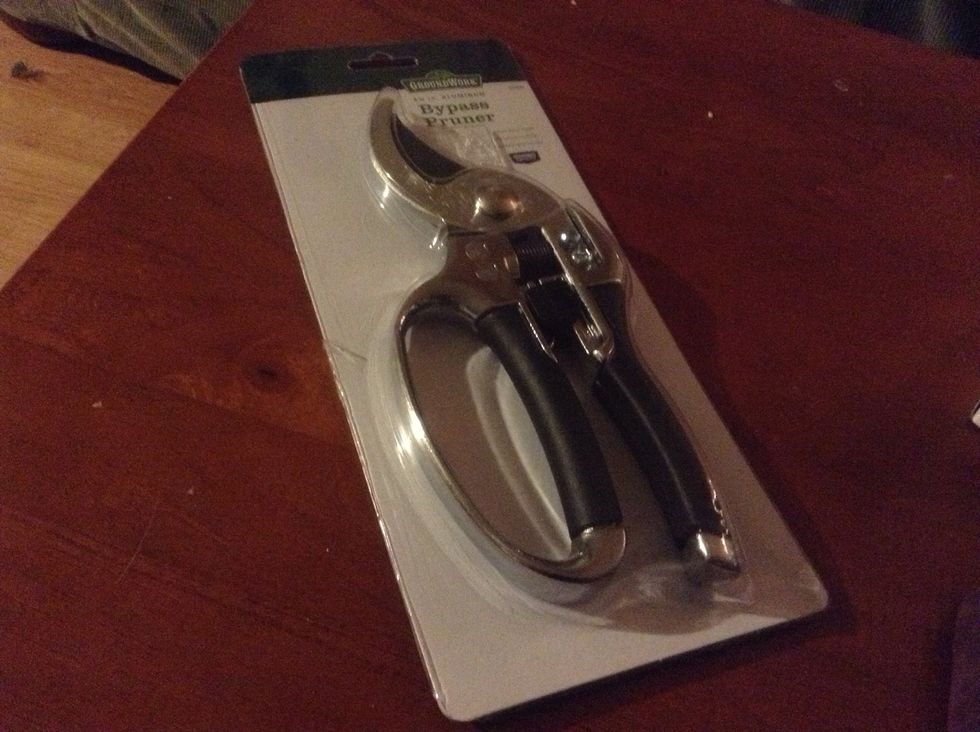 Clippers for trimming tree branches